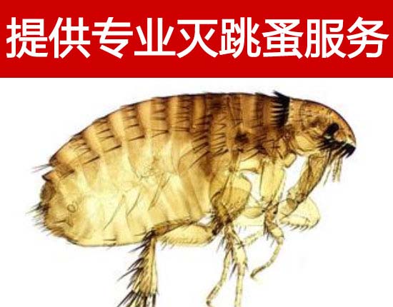 ����߀�ڱ��������_��������?gu��)����Q�����I(y��)����ȫ���б���