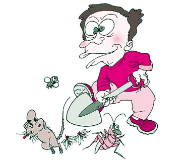 ���õĲ�����󷽷�