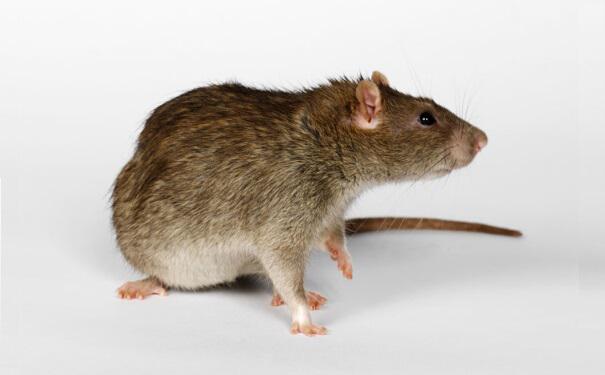 ��Μ�������������Щ������